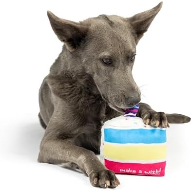 Huxley & Kent Power Plush Squeaky Dog Toy, Make a Wish Cake, Small