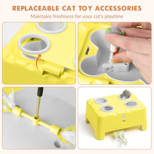 Wortade 2-in-1 Automatic Cat Toy, Interactive Cat Toy for Indoor Cats