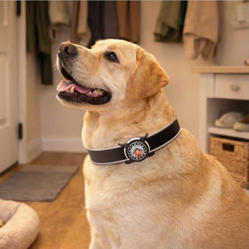 Waterproof AirTag Holder for Dog Collar, Soft Slide-On Dog AirTag Holder | Full-Body Protection, No-Dangle Fit, Ultra-Durable, Lightweight, Tool-Free Installation, Fits Dog & Cat Collars