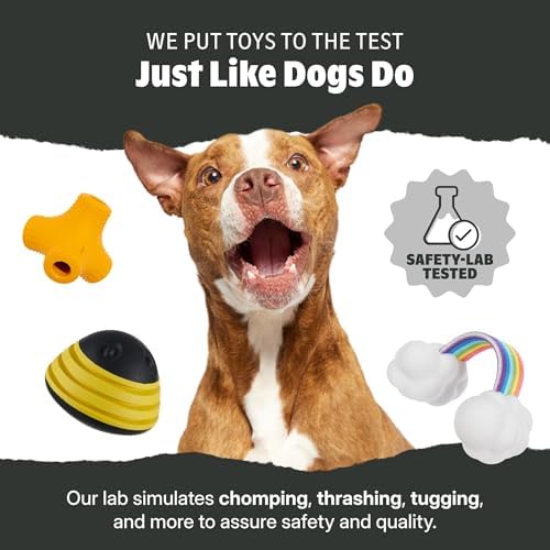 BarkBox Diva the Dragon Queen Dog Toy - for Medium to Large Dogs
