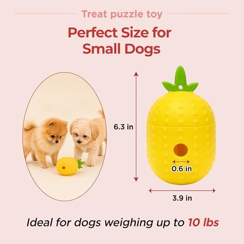 JAYU PET Treat Puzzle Toy for Small Dogs or Puppies