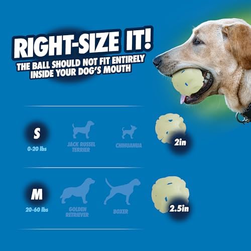 Chuckit! Air Glow Fetch Ball Dog Toy, Small (2 Inch), for Breeds 0-20 lbs, 2 Count (Pack of 12)