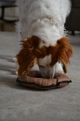 Ultra Tough Small Bone Toy