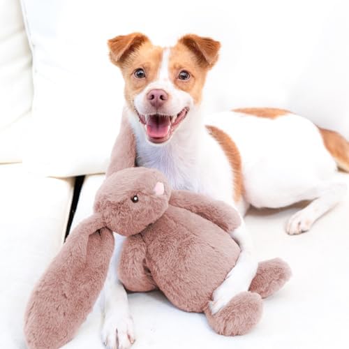 Best Pet Supplies Bunny Buddy Squeaky Plush Dog Toy - Mauve, Medium | Soft Plush, Squeaks & Crinkles, Perfect for Moderate Chewers, Toss & Fetch Play, Stress & Anxiety Reliever, Ideal Gift Toy