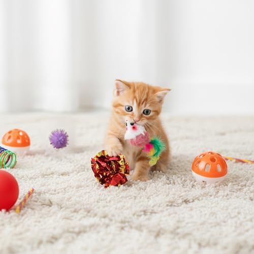 Nicunom 100 Pcs Cat Toys for Indoor Cats and Kittens - Spring, Fur Mice, Crinkle Ball, Sparkle Pom Pom Ball, Bell, Catnip Rope, Variety Cat Interactive Toy Set