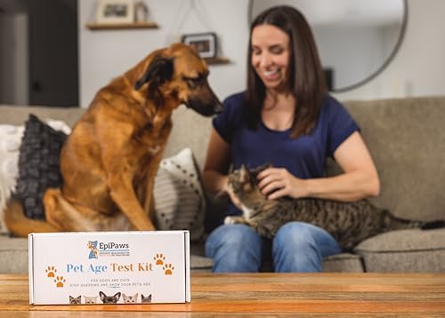 Dog Age Test - At-Home DNA Methylation Test to Estimate Dog’s Age | Estimate Your Dog’s Age, Mouth Swab Kit for Rescue & Shelter Dogs, Includes Estimated Birthday, Life Stage & Health Insights