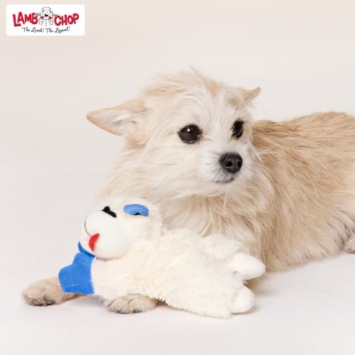 Multipet Lamb Chop Dog Plush Toy - Squeaky Toy for All Dogs - Durable Oxford Lining - Stuffed Animal for Cuddling & Playing (10.5", Blue Paws)