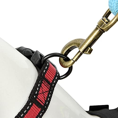 Mile High Life Reflective Dog Collar, Adjustable Lightweight Quick Release