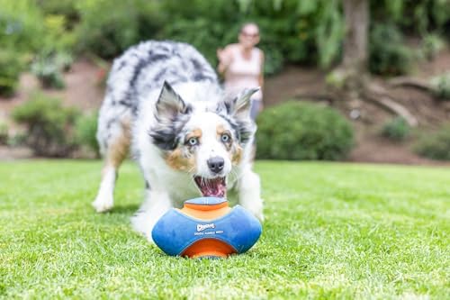 Chuckit! Giggle Fumble Fetch Ball Dog Toy 7.9", Makes Funny Giggle Sounds