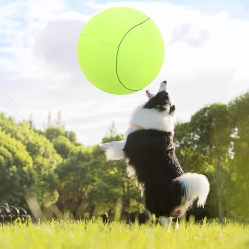 ANC POP 20" Herding Ball for Dogs & Horses with Green Nylon Cover, for Australian Shepherd Training Toy, for Small & Medium Pets Outdoor Play & Exercise