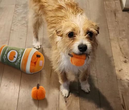 Hide and Seek Plush Dog Toy, 2 in 1 Crinkle Interactive Squeaky Bundle Pack, Pumpkin Toy for Small Medium Dogs, Orange