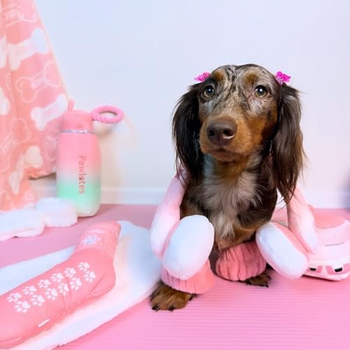 Haute Diggity Dog Doggo Athletic Sock Plush Dog Toy, Funny Parody Chew Toys