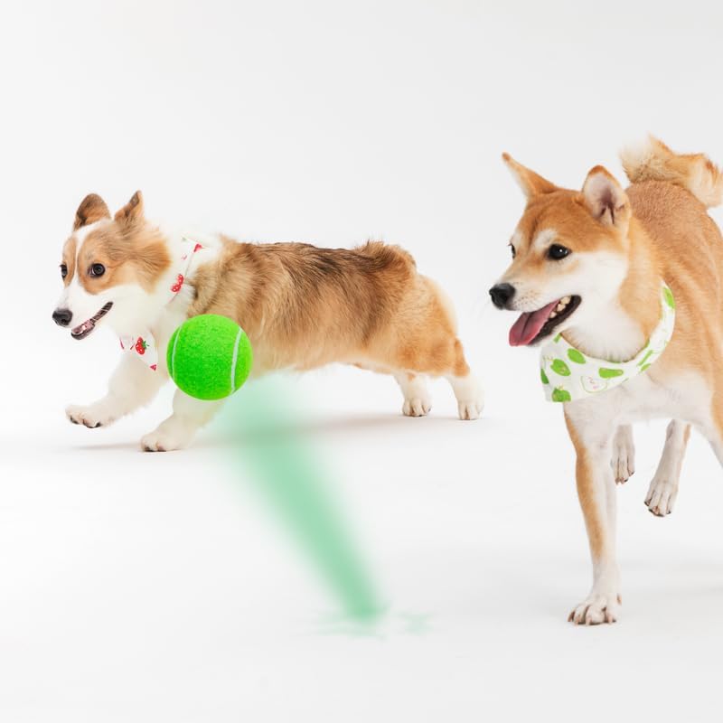 3-Pack Tennis Ball Dog Toys with Squeaker, Interactive Fetch Play for Pets 40 lbs and Over ,Training Balls for Indoor & Outdoor Exercise, 3.28-inch (Green, 18PCS)