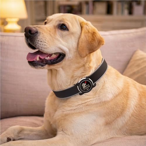 Waterproof AirTag Holder for Dog Collar, Soft Slide-On Dog AirTag Holder | Full-Body Protection, No-Dangle Fit, Ultra-Durable, Lightweight, Tool-Free Installation, Fits Dog & Cat Collars
