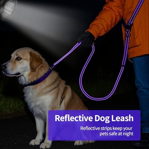 Puppy Dog Collar & Hands-Free Dog Leash Adjustable Length 5-8 Ft Adjustable Nylon Collar with Quick-Release Buckle
