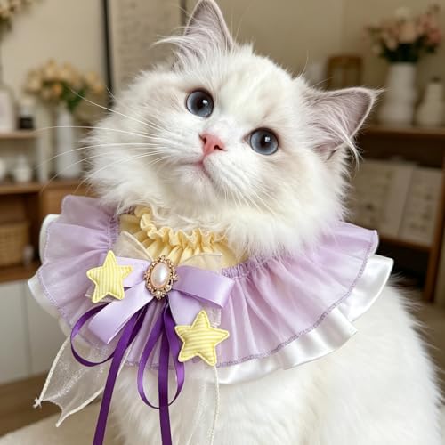 Cat Dog Lace Bow Collar Luxury Elastic Neckline (#3)