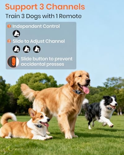 2-in-1 Bark Shock Collar 2 Pack - Color Screen Dog Training Collar with Beep/Vibration/Shock/Anti Bark 4 Modes for 2 Dogs, 3300FT Waterproof E Collar with Remote for Small Medium Large Dogs(8-120lbs)