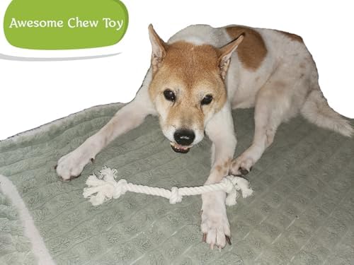 2-Pack 13" 3-Knot Dog Rope Toys for Puppies & Small to Medium Dogs, Natural Cotton Tug Toys for Interactive Indoor & Outdoor Play, Fetch, Teeth Cleaning, Training, Light Chewers, Washable, White