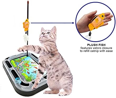 Cat Scratching Toy – Scratcher Board & Fish Aquarium Design