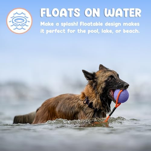 Dog Ball Toy with Rope, Durable EVA Foam Floating Dog Toy, Interactive Fetch & Toss n’ Train Tug Ball for Dogs, Bouncy Pet Ball for Outdoor Indoor Play - Purple, Medium