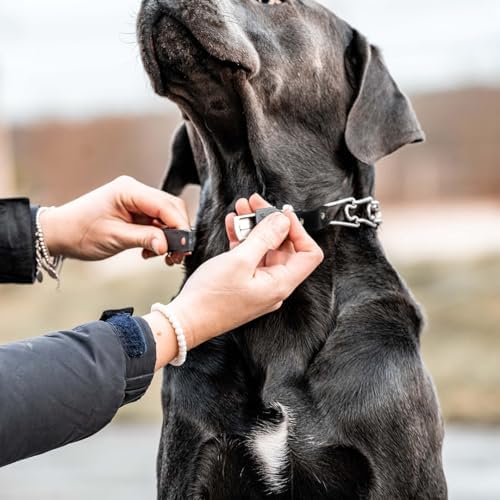 Herm Sprenger 2.25mm Prong Collar for Dog Training with Adjustable Length & Easy Quick Release Cliclock & Swivel Ring for Small/Medium Dogs (13-19" Neck)