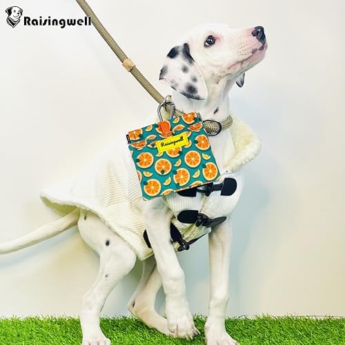 Dog Treat Pouch,Cotton Pocket Sized Training Holder, Hand Free Walking Funny Bag with Carabiner, Self-Closing Pet Feed Snack Reward, Behavior Aids for Puppy Travel or Outdoor Use(Fruit Orange)