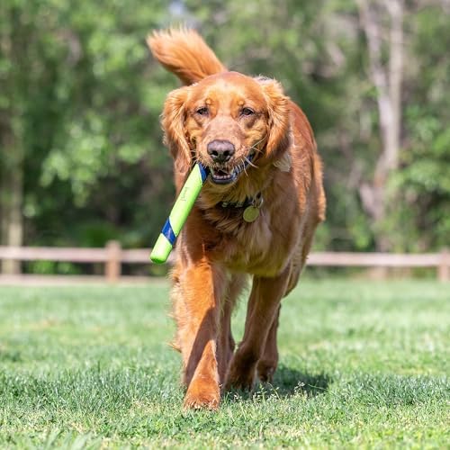 Chuckit! Peanut Butter Sniff Fetch Stick Dog Toy, 12in Length, 1 Pack