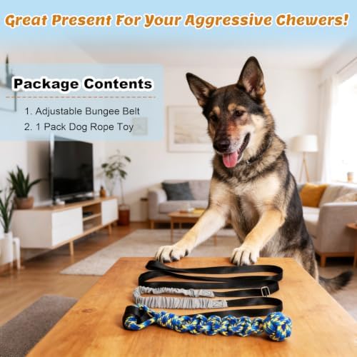 Interactive Dog Bungee Tug Toy Outdoor Hanging Tree Dog Rope Toy with Black Sun-Resistant Rope & Blue Pull Ball Adjustable Tether Tug for Small to Large Dogs Yard Play