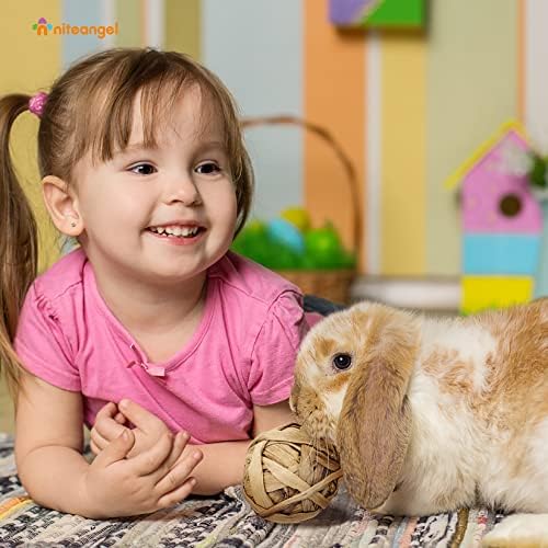 Niteangel Natural Chew Activity Toys: Meets Small Pet Chewing Needs & Mood