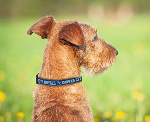 MLB Kansas City Royals Licensed PET COLLAR- Heavy-Duty, Strong, and Durable Dog Collar. Available in 29 Baseball Teams and 4 Sizes