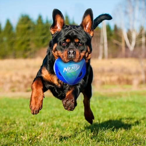 Nerf Dog 5.5in Translucent TPR Rumble Ball with Tri-Twist Handles -Blue