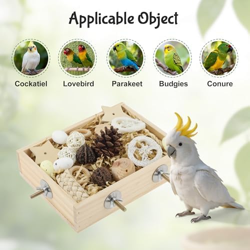 Bird Foraging Toys Box, Wooden Foraging for Bird, Wood Color M