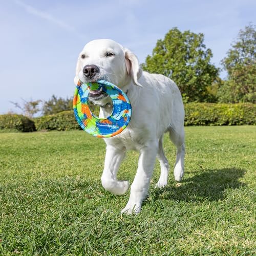 Chuckit! EcoFetch Flyer Rubber Dog Toy, Medium (8 Inch Diameter) Pack of 1, for Breeds 20-60 lbs