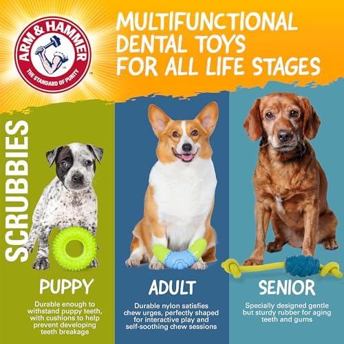 Arm & Hammer Scrubbies Boomerang Rubber Dental Chew Toy, Large, 7 in