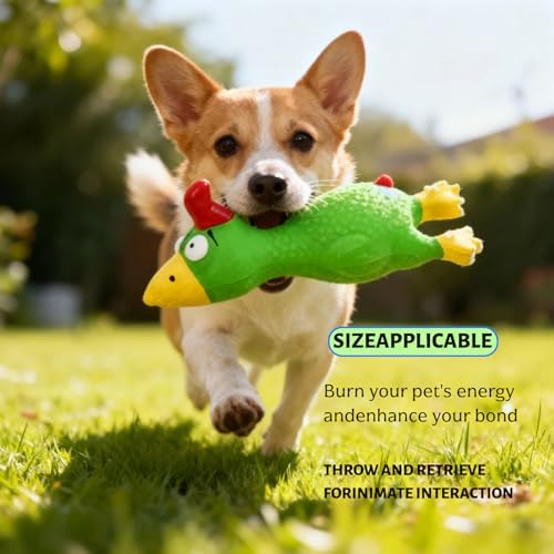 6.7" Squeaky Latex Dog Toy gripping, Cute Little Chicken Rubber Toy for Chewing and Grinding Teeth Interactive Play for Small Medium Dogs -(1Pcs Green)