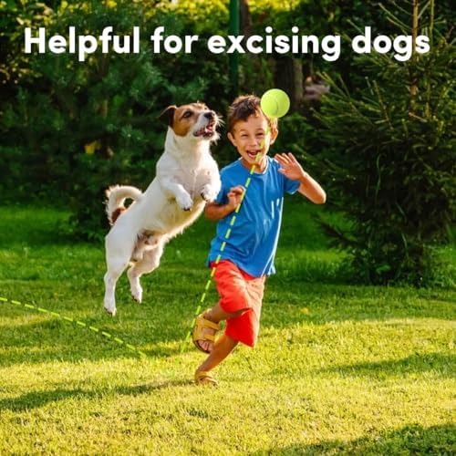 9 Pack 2 Inch Mini Tennis Balls for Small Dogs, Interactive Dog Toys for Fetch Training & Exercise, Fits 2-Inch Dog Ball Launchers