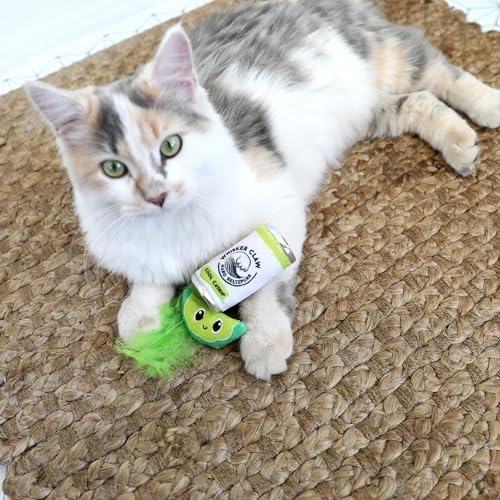 Quirky Kitty Whisker Claw and Lime Catnip Crinkle Plush Cat Toy, Pack of 2