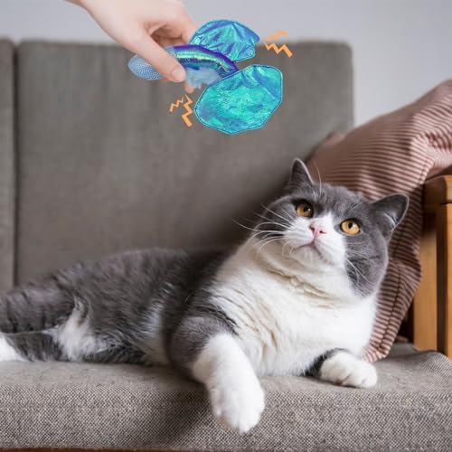 Andiker Cat Catnip Toys,Crinkle Catnip Fish with Rustling Shiny Crinkle Paper and Natural Catnip,Cat Interactive Toys for Indoor Cats for Promoting Digestion and Adjusting Emotion (Blue Fish)