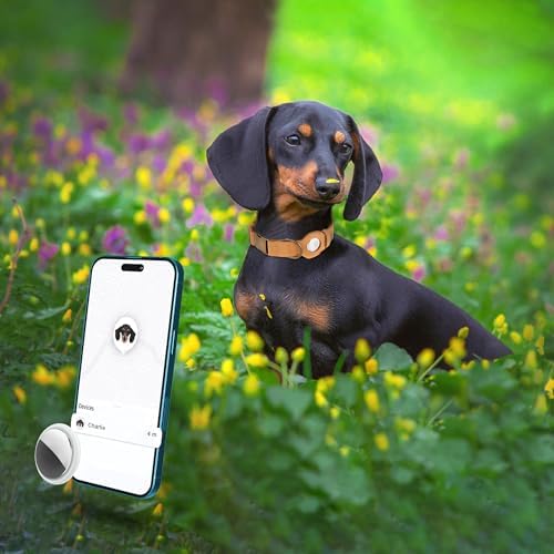 AirTag Dog Collar - Genuine Leather Dog Collar with Apple AirTag Holder and Metal Buckle - Smart GPS Tracking Pet Collars (Light Brown, XS, 9"-12" Neck Fit)