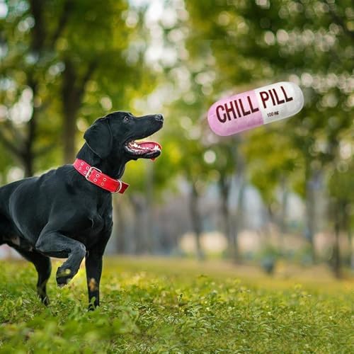 Wanheart Funny Chill Pill Dog Toy, Squeaky Plush Capsule for Teething Puppies & Cats, Interactive Chew Gift with Bite-Resistant Design, Pet Lover Present, Training Supply & Photo Prop(Pink)