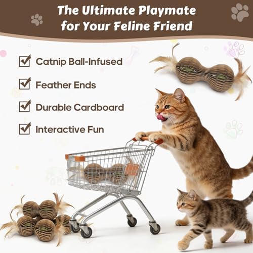 Catnip Ball Toys for Indoor Cats Dumbbell-Shaped Cardboard Toy with 2 Catnip Balls & Feather Ends for Interactive and Independent Play, Exercise & Stress Relief Cat Toys for Kitten All Breeds and Ages