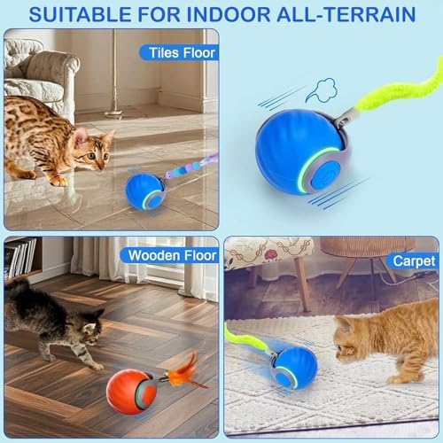 Active Rolling Ball with Tail for Cats,Speedy Tail Cat Toys for Indoor Cats