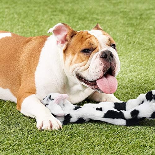 SHARLOVY Dog Squeaky Toys No Stuffing, 3 Pack Crinkle Dog Toys for Small