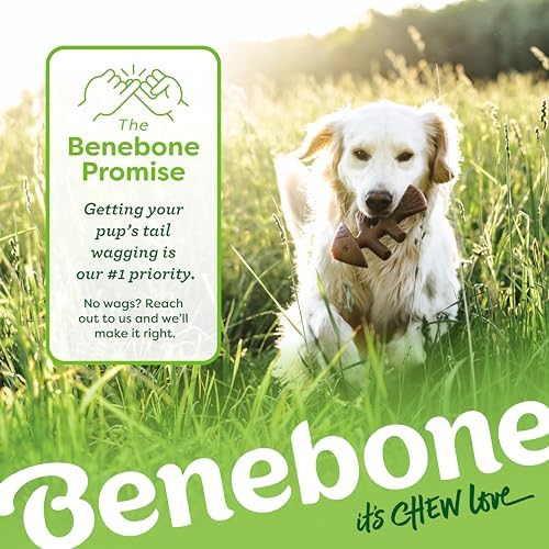 Benebone Medium 4-Pack Dog Toys for Aggressive Chewers – Under 60 lbs