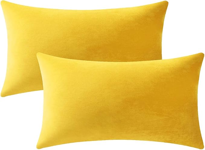 Lumbar Pillow Covers 12x20 Yellow: Pack of 2 Cozy Soft Velvet Rectangular Modern Luxury Decorative Throw Pillow Cases for Sofa Couch Living Room Bed Home Decor
