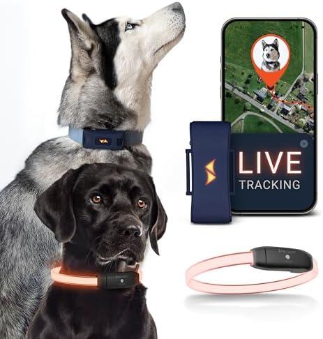 4G Dog GPS Tracker with Real-Time Location, Runaway Alerts, Activity Monitoring App, Waterproof Design & Rechargeable LED Dog Collar with 7 Color Modes, 27-Month Subscription Included – Blue Bundle
