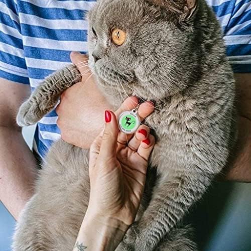 QR Code Dog Tag Personalized Pet Id Silent Cat Tags Engraved Name Plate with Online Profile («Miss Meow»)