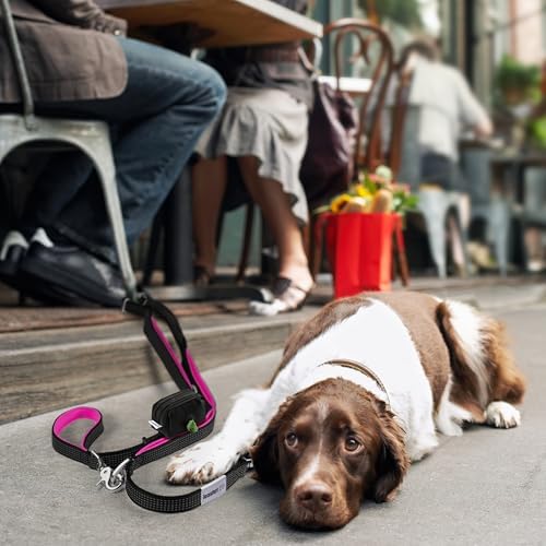Dog Poop Bag Holder for Leashes and Treat Holder with 2 Waterproof Pouches | Poop Bag Dispenser for Pet Waste Bags and Walking Accessories + 1 Free Roll