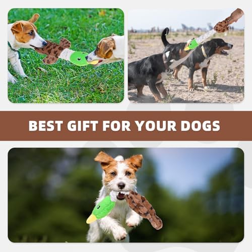 KOOLTAIL Duck Dog Toys, Tough Plush Dog Chew & Squeaky Toys with Crinkle Paper, Interactive Training & Tug of War Puppy Teething Toy for Indoor Outdoor Play, Soft Pet Toy for Small Medium Large Dogs