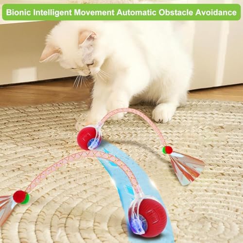 2 Pack Interactive Cat Toy Balls for Indoor with Elastic Mesh Tail